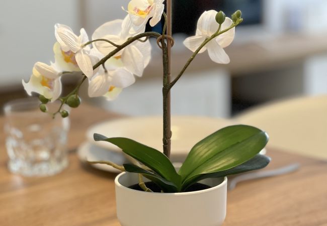 Apartment in Costa Teguise - Casahost Bastian Boutique II Seaview Apartment in Costa Teguise - Casahost Bastian Boutique II Seaview